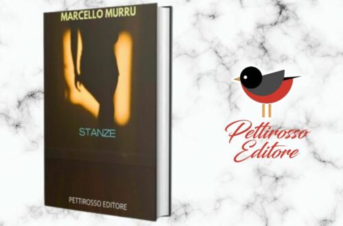 Stanze, il nuovo libro di Marcello Murru